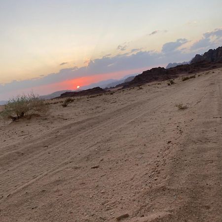 Wadirum Zeid Camp&Tours Вади Рум Екстериор снимка