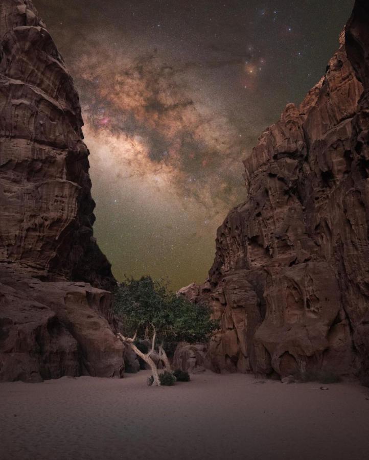 Wadirum Zeid Camp&Tours Вади Рум Екстериор снимка