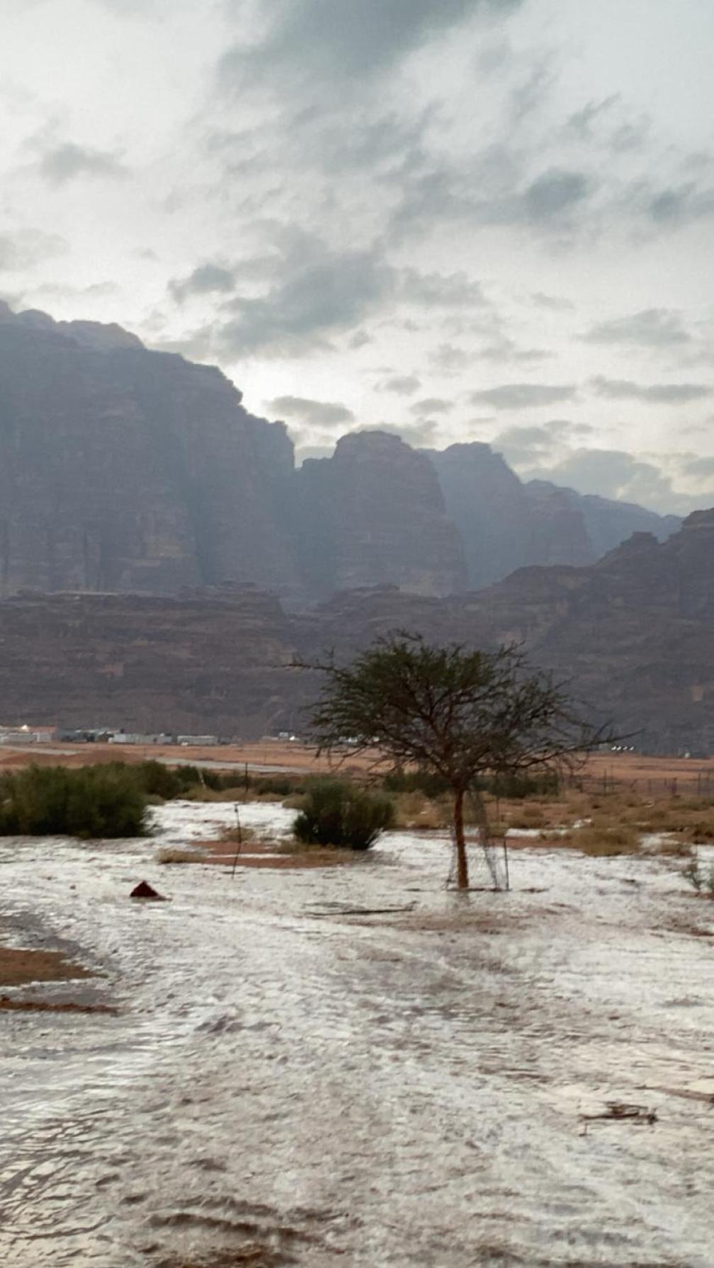 Wadirum Zeid Camp&Tours Вади Рум Екстериор снимка